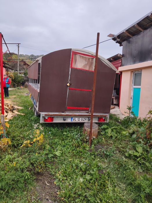 Pavilion apicol 28 familii