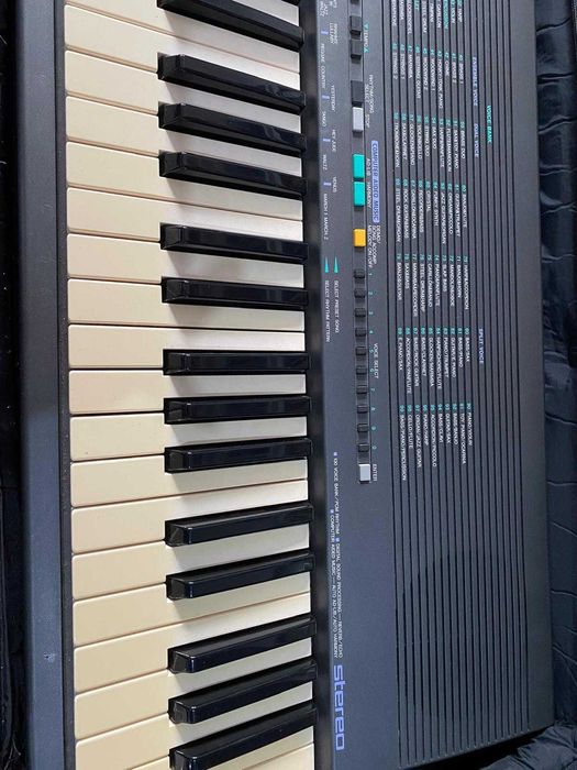 Orgă, Yamaha PSR 19