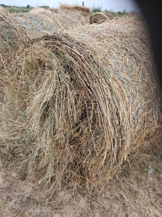 Vând baloți fân 120-120