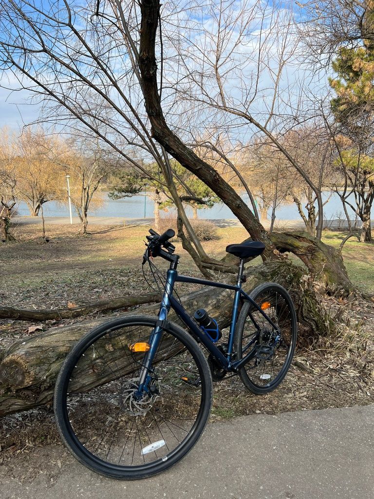 Bicicleta adulti