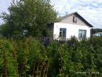 Продам дом в деревне Сосновка
