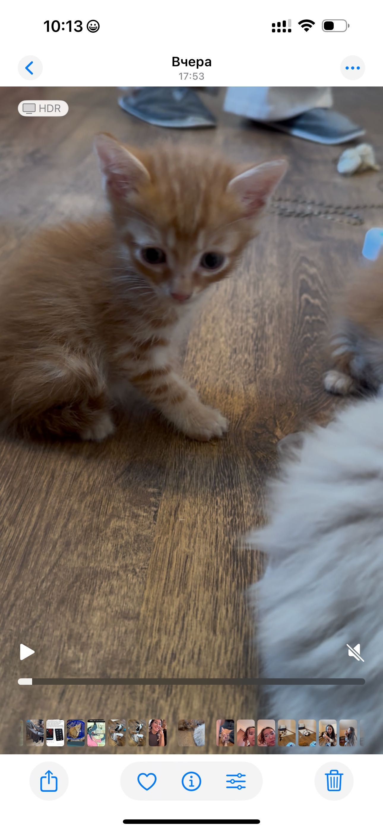 Рыжий котенок 2 месяца