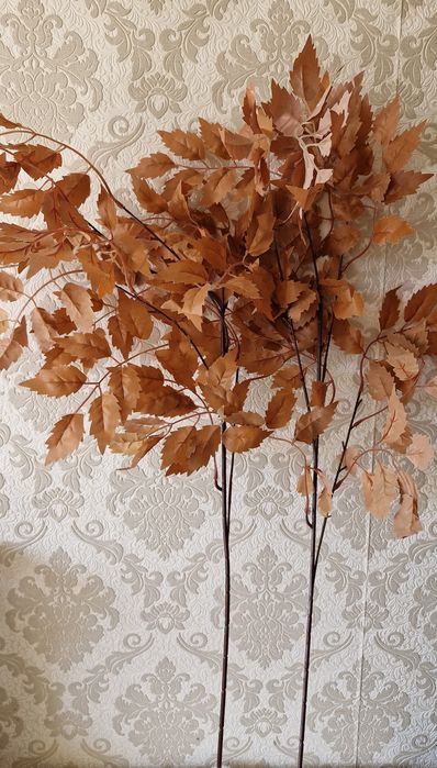 Материали за есента