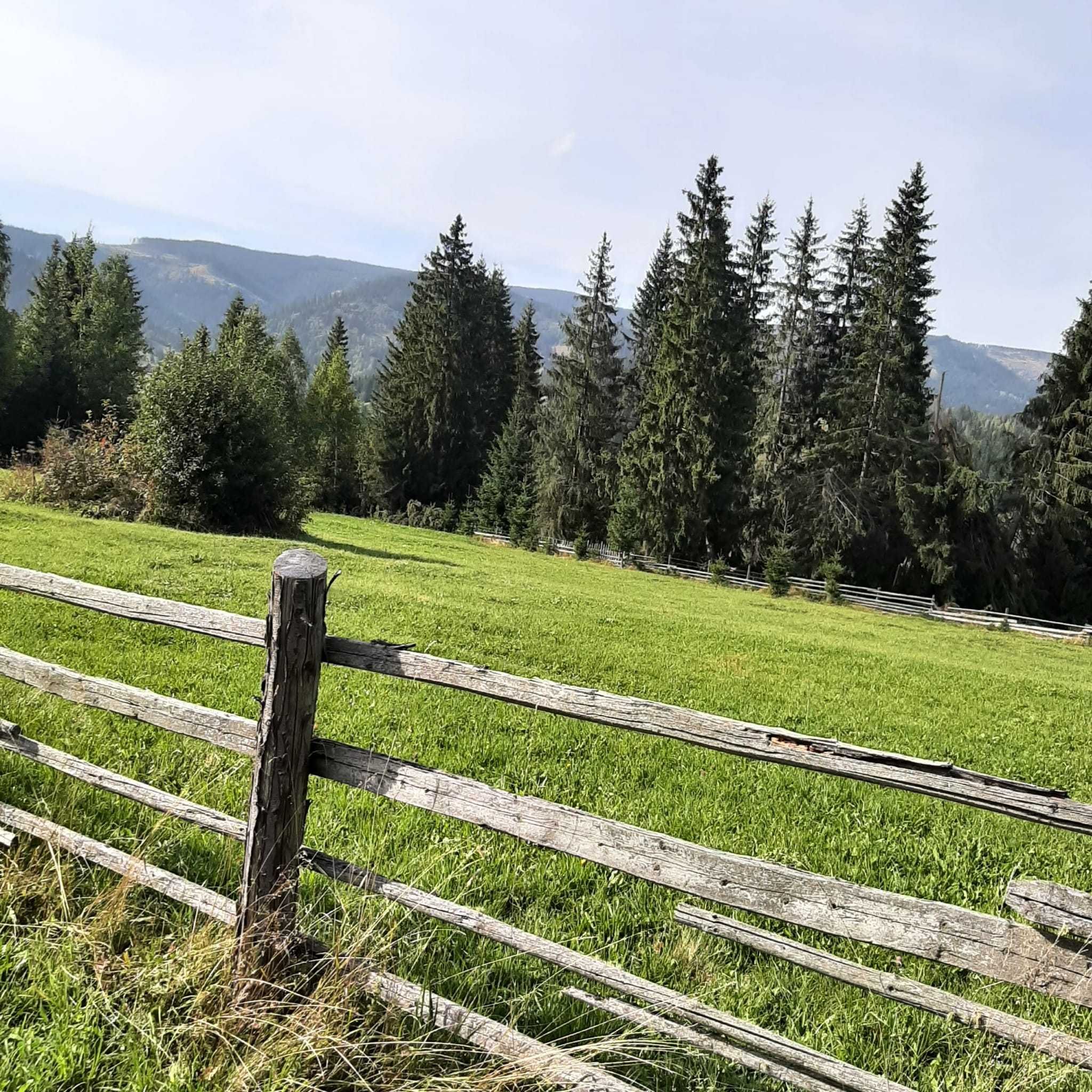 Teren intravilan la munte, plan, zona cu case,  langa Vatra Dornei