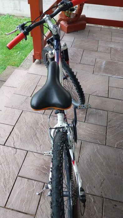 Vand Bicicleta schwinn