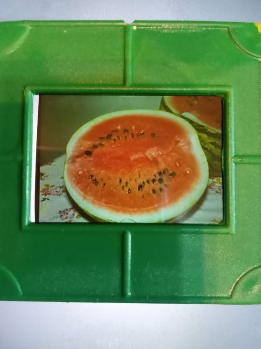 Рамки для слайдов и слайды