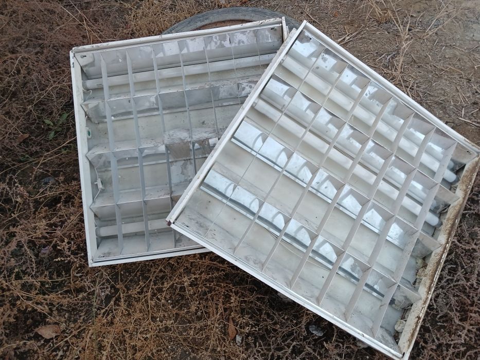 Светельник патолочный