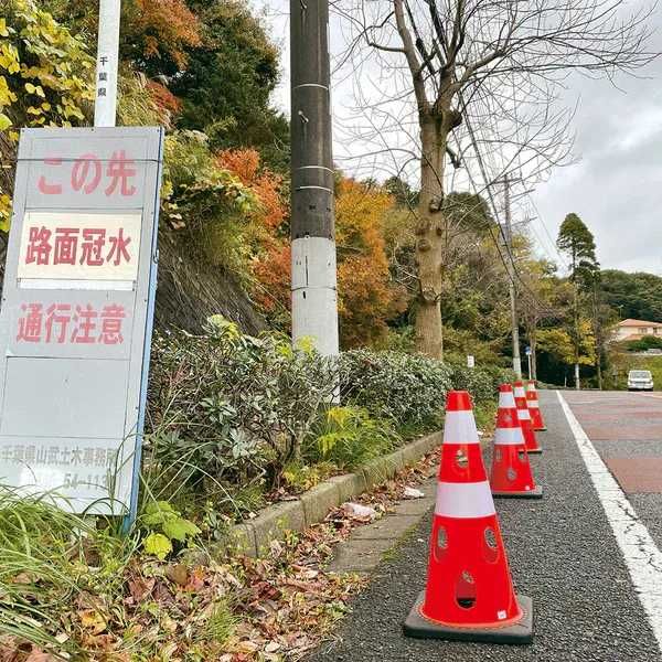 Con Semnalizare Anti-Vânt Omologat 70cm