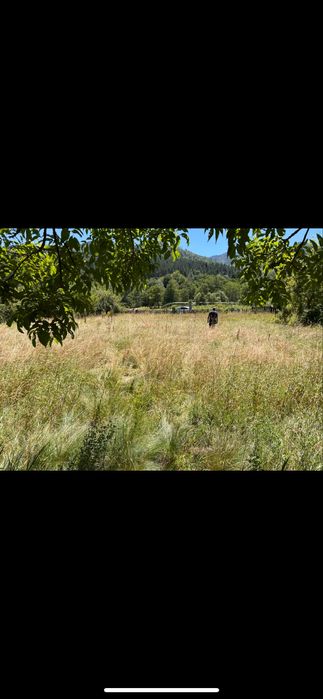 Închiriez teren centrul localitatii Hârja. Pe termen lung.