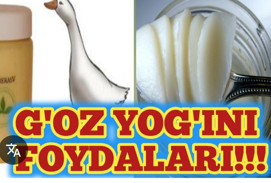 G'oz yog'i | Гусинний масла (Tabbiy toza )