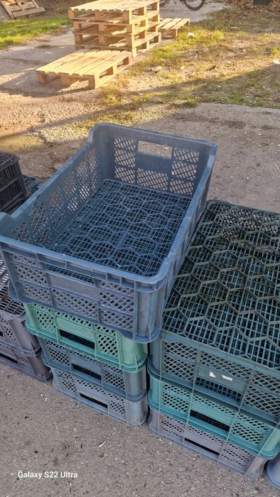 Lazi plastic  lădițe ambalaje