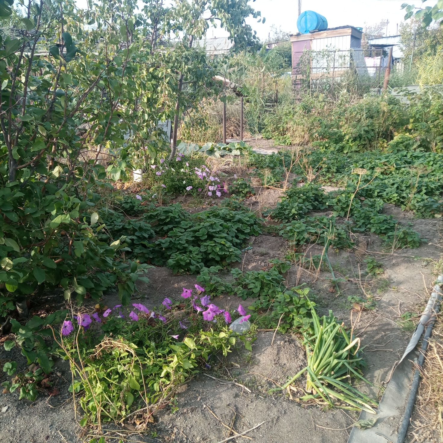 Срочно Продаётся Коттедж п.Рыбачий ул.Тайжана д60-2..