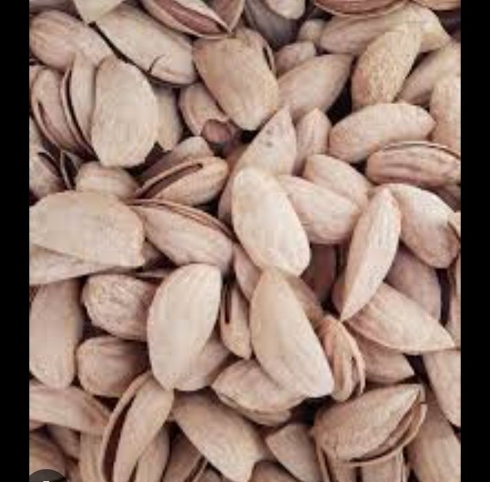 Prezident bodom optom narxda