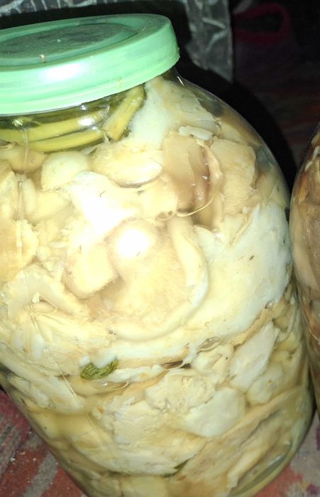 Продам грибы соленые