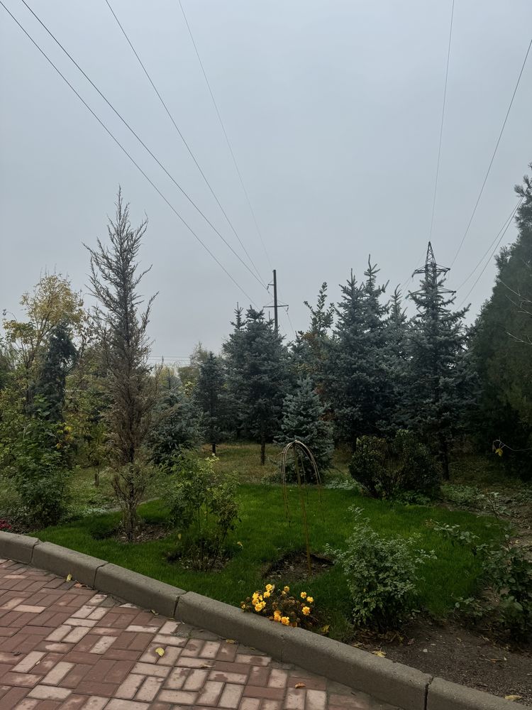 Озеление, благоустройстро территорий