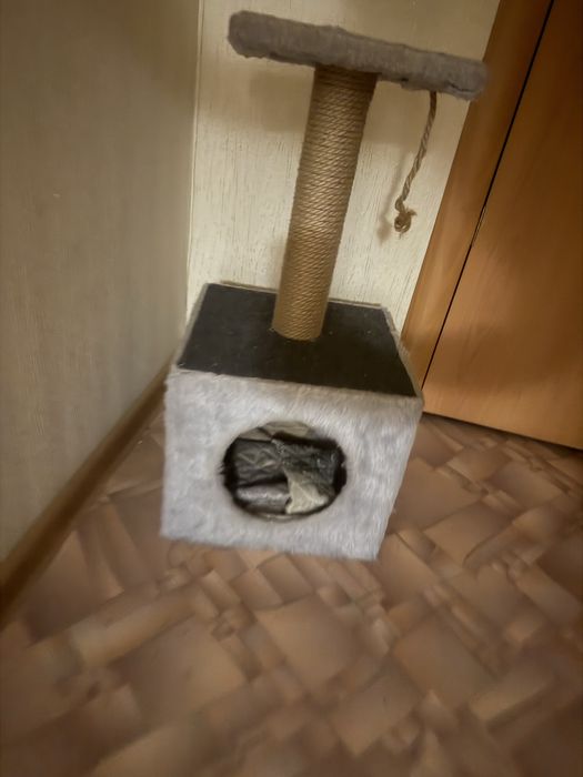 Кошачий домик для кошки