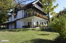 Topoloveni - Conacul Ion Mihalache, Domeniu pe 5 Hectare