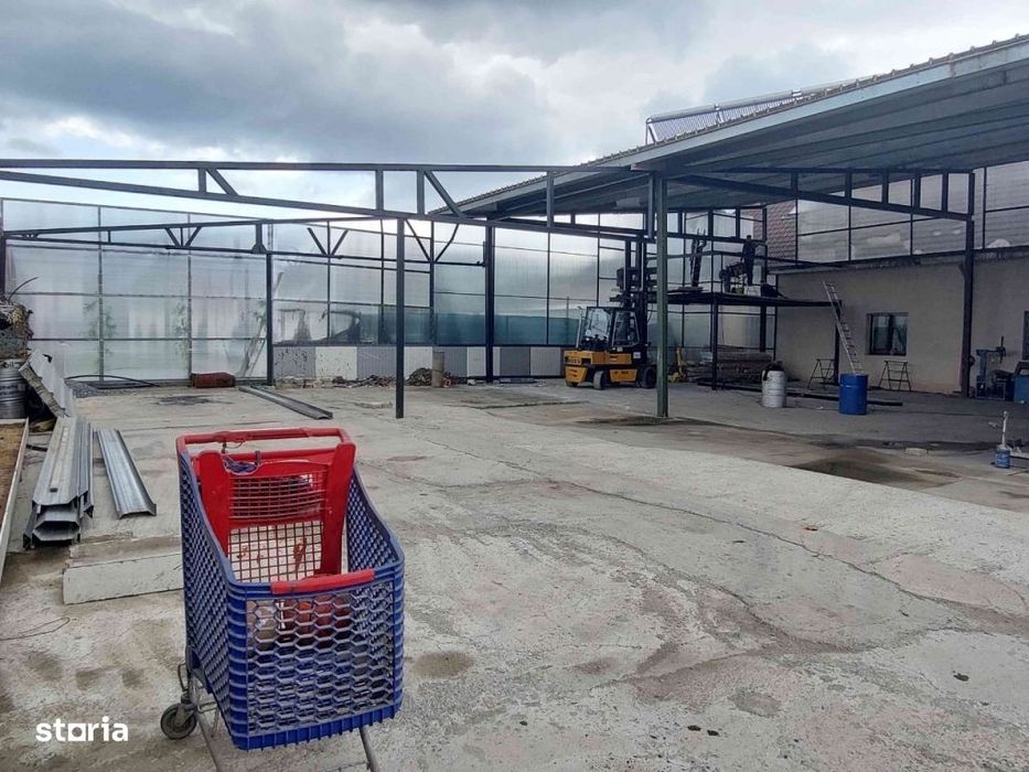 Hala 330 mp și curte la Sura Mare