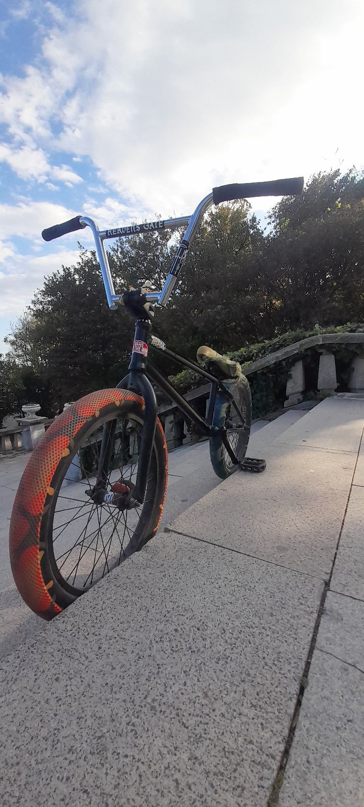 Custom BMX (Каран 5 месеца)