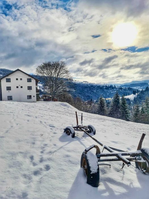 Cabana in Arieseni + ciubar
