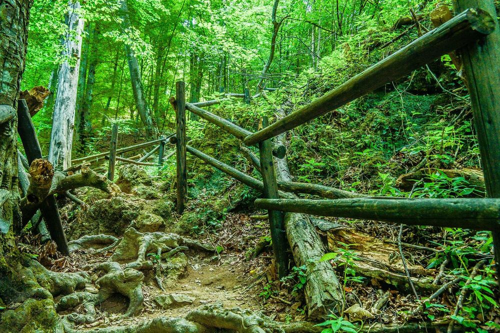 Фотографски услуги за рождени дни , частни и фирмени партита