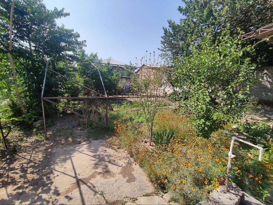 Towken wahri mirzo ulugbek