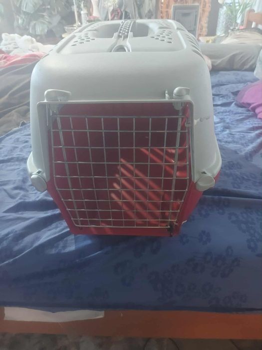 Cusca transport pisici,caini