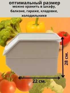 Контейнер для овощей, для хранения овощей и фруктов, контейнер