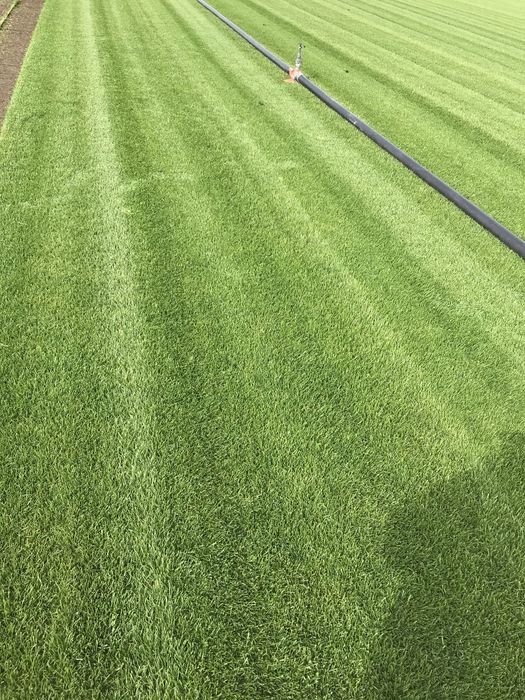 Gazon   Rulou   Sisteme  de   Irigatii   Automatizate