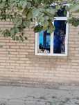Мушукчалар берилади