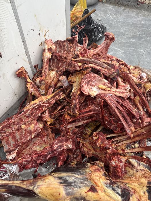 Суп набор конина, кости мясистые, по 600 за кг