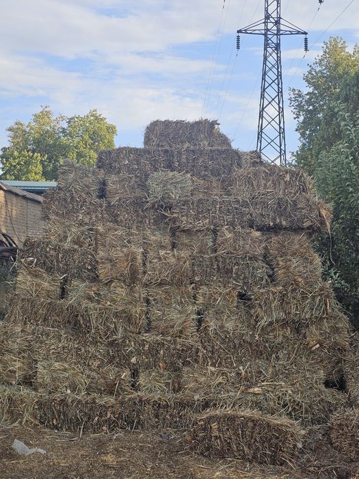 Пресс арзон 800та