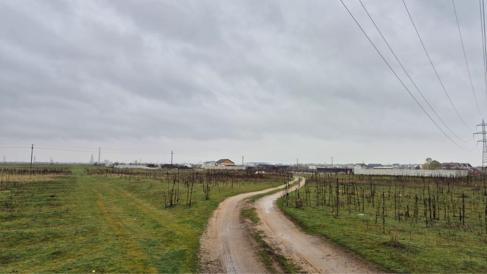 Teren extravilan 15.000 mp - Craiova - zona Cernele/ Izvorul Rece