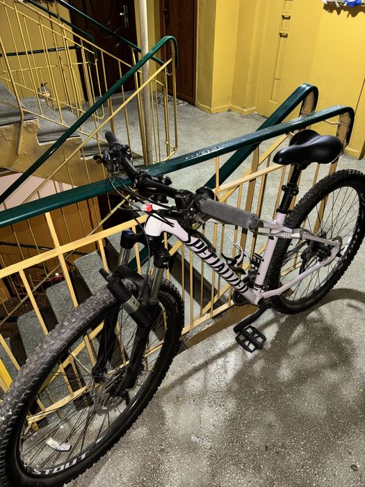 Specialized Rockhopper 29 x2,3, 2020-MTB frane hidraulice, 2x9 viteza