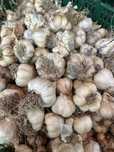 Usturoi natural de Copălău – sănătate și aromă în farfurie