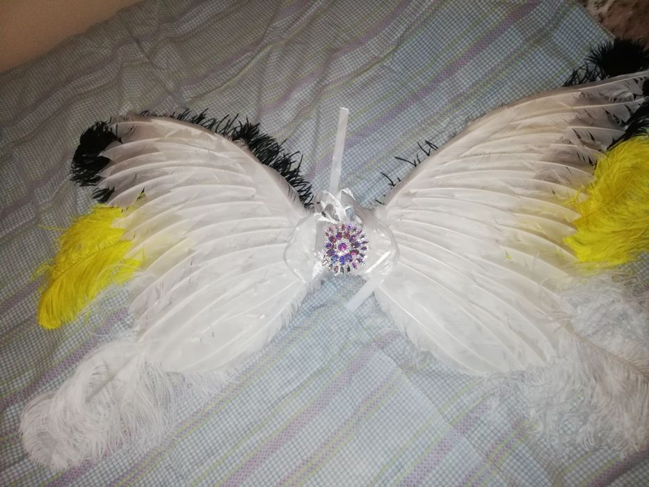 Бразильский костюм