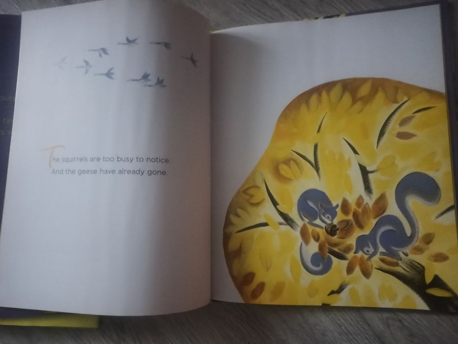 Lot 5 cărți cartonate lb engleza