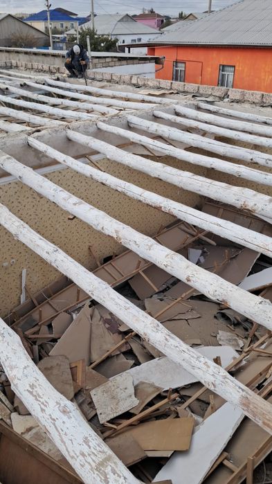 Ағаштар    баррр