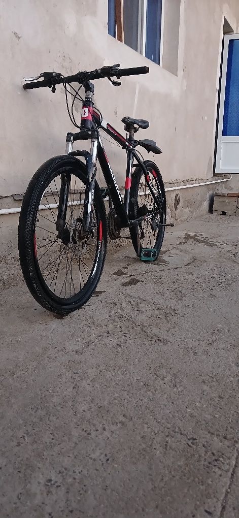 Skarasnoy velik ismi skillmax