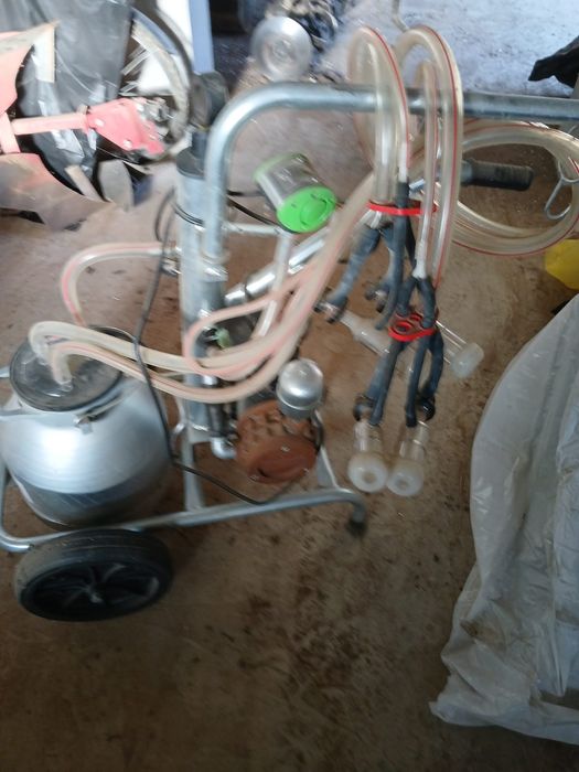 Mulgatoare vaci/ capre