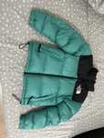 The north face 1996 retro nuptse jacket