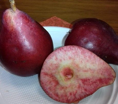 Pomi fructiferi deosebiti  Par Sanquinole cu Miez rosu