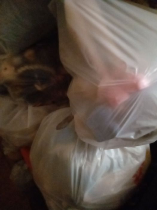 Мешки с куклами . Лол Барби