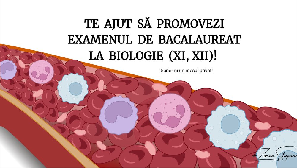 Meditatii Biologie Bacalaureat