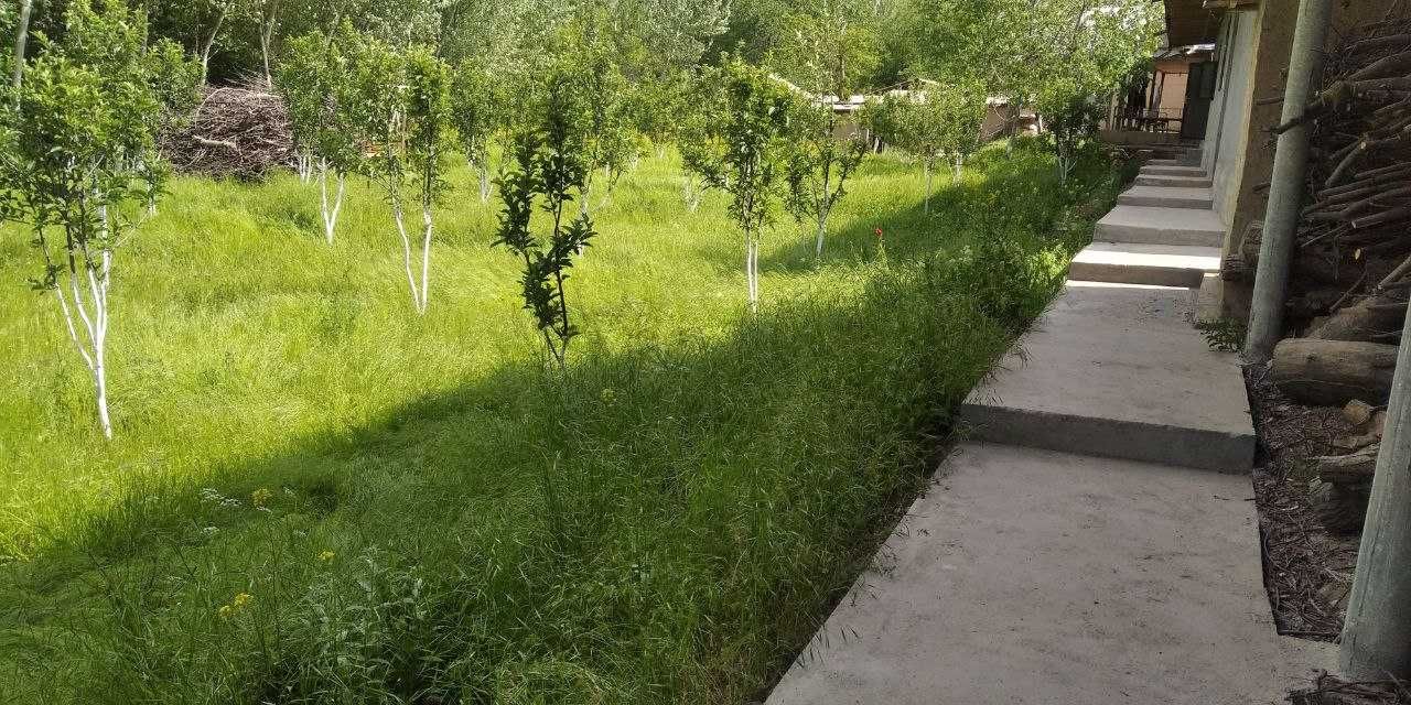 Zomin sanatoriyaga atrofida dacha tinch joy oilaviy dam olishga