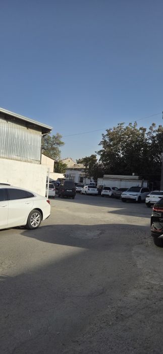 Продаётся база Кукча 81 сотка