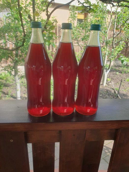 Sirop de muguri de brad