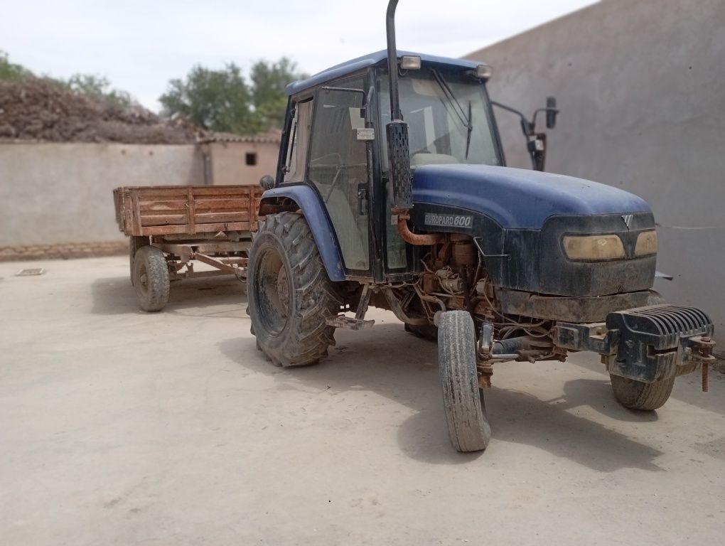 KAFOLAT 6OY arzon narx