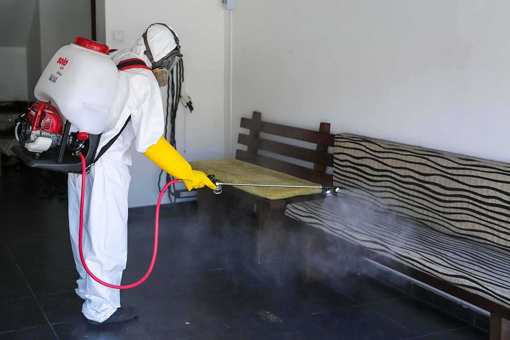 Dezinfeksiya klop tarakan Дезинфекция СКИДКИ до 40% от клопов H14