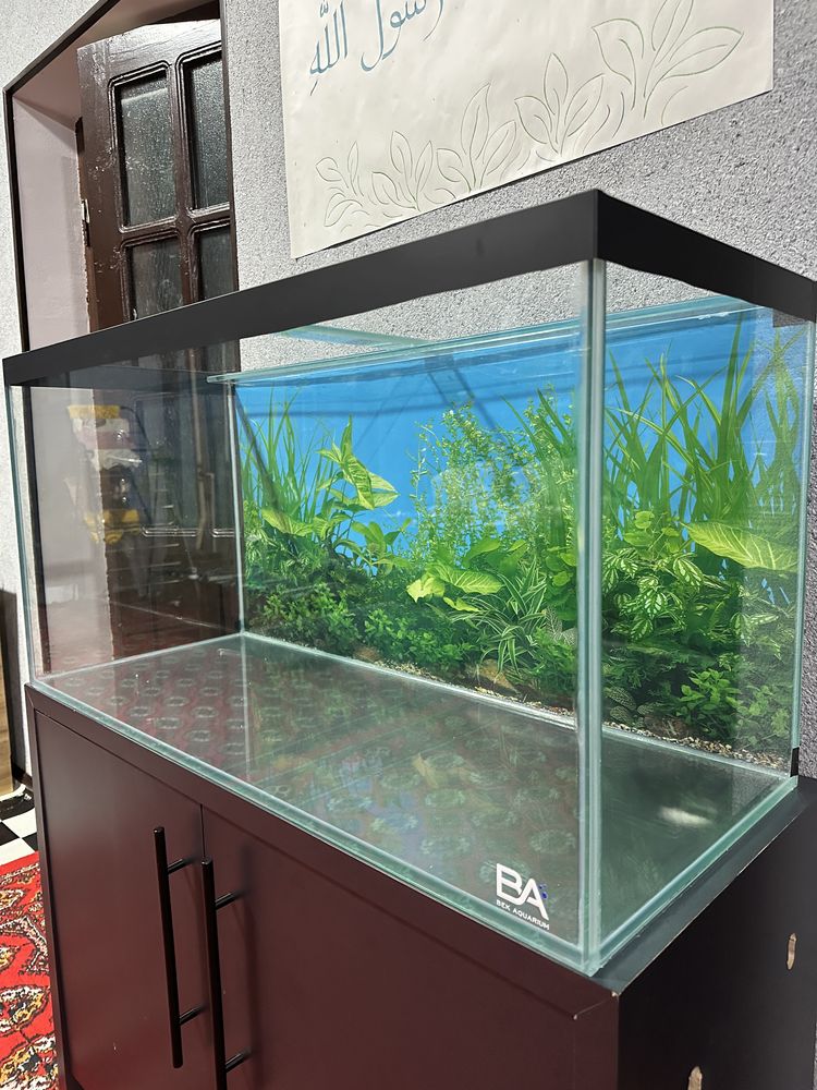 Bek Aquarium 200L